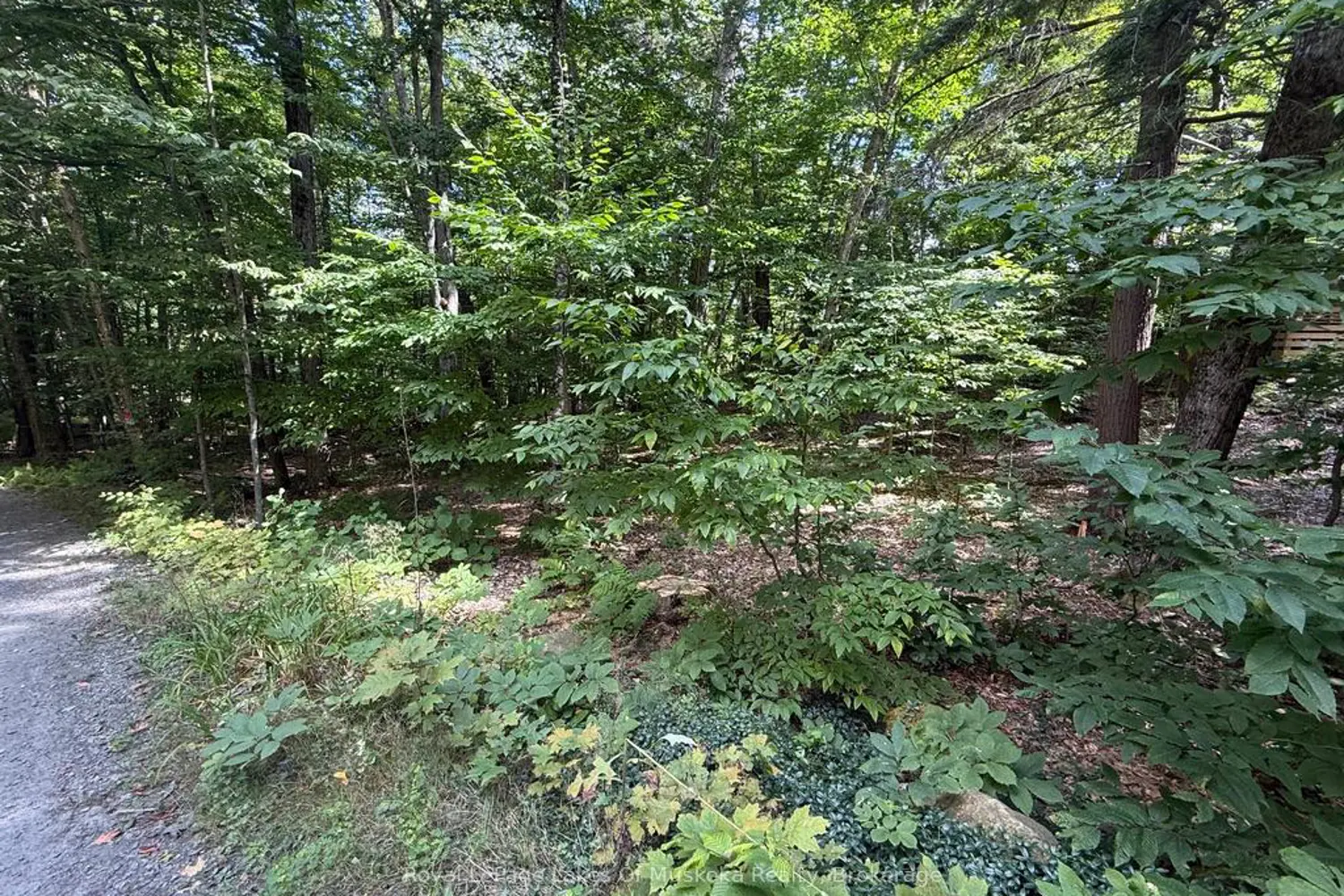 Additional image 2 of Lot 85 Brennan Circle