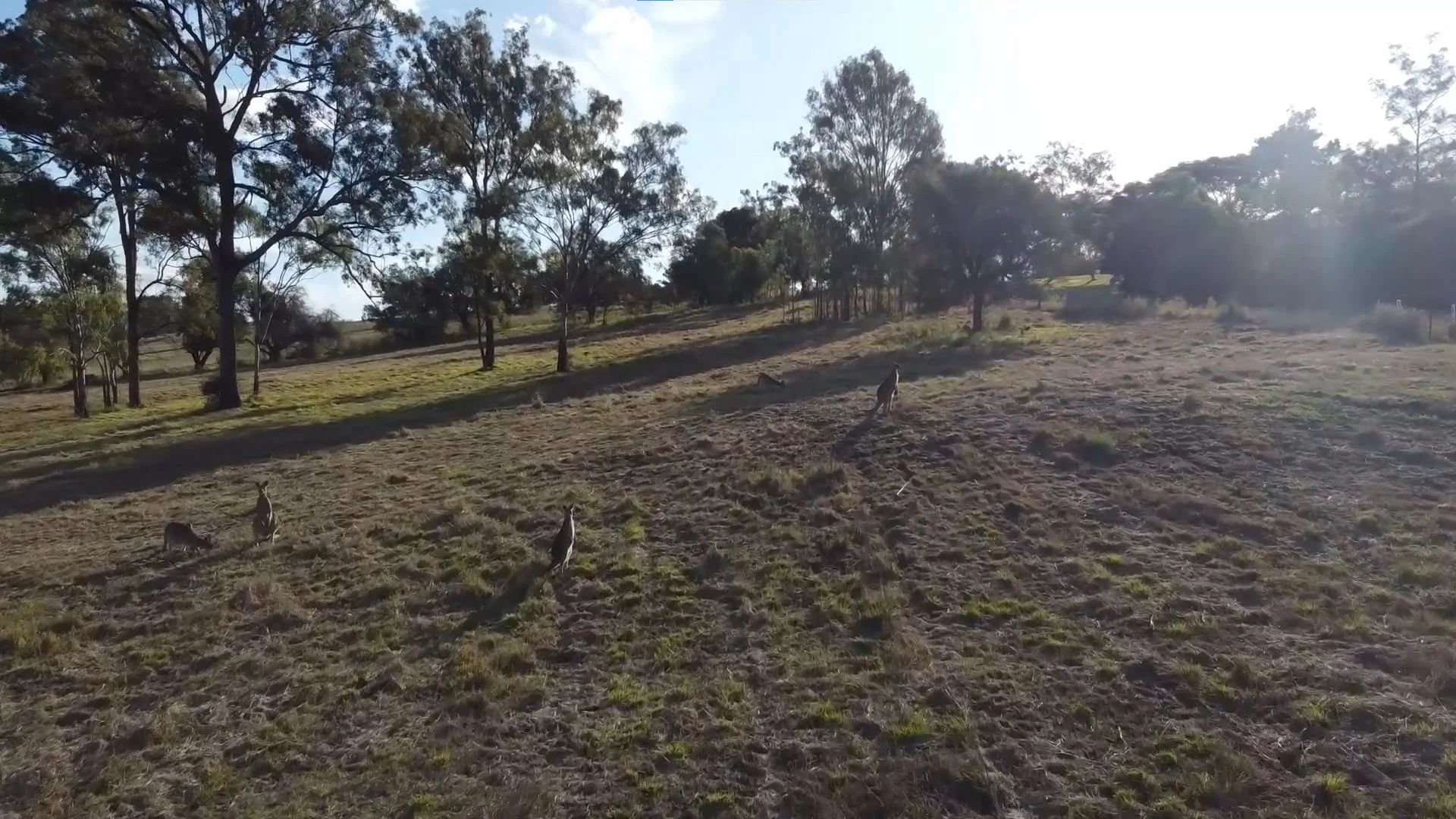 Additional image 8 of 59 Robson Road, Coulson QLD 4310