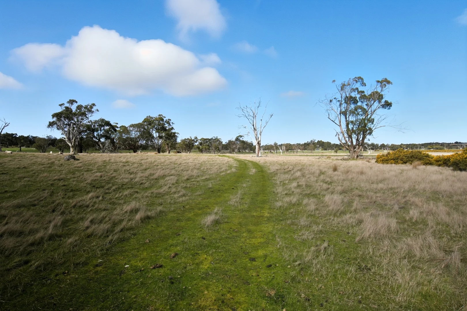 Additional image 31 of 33 Haggerston Farm Road, Perth TAS 7300