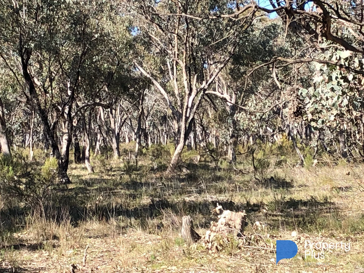 Additional image 9 of 18 & 19 Derby Road, Campbells Forest VIC 3556