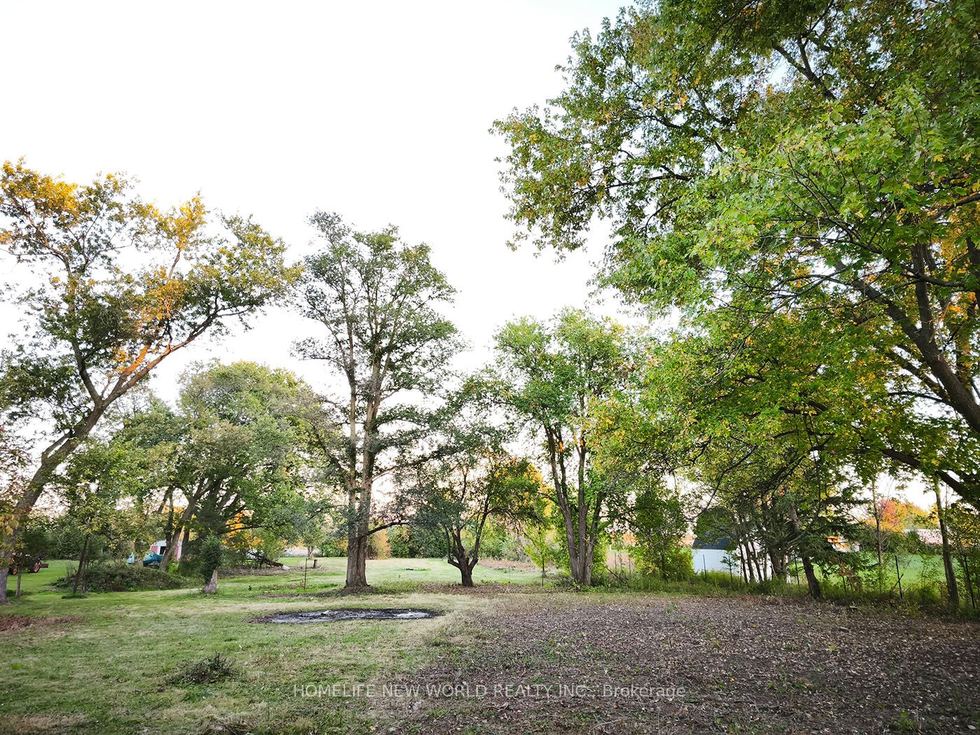 Additional image 3 of 790 Hwy 6 N/a, Haldimand, ON, N3W 1N6