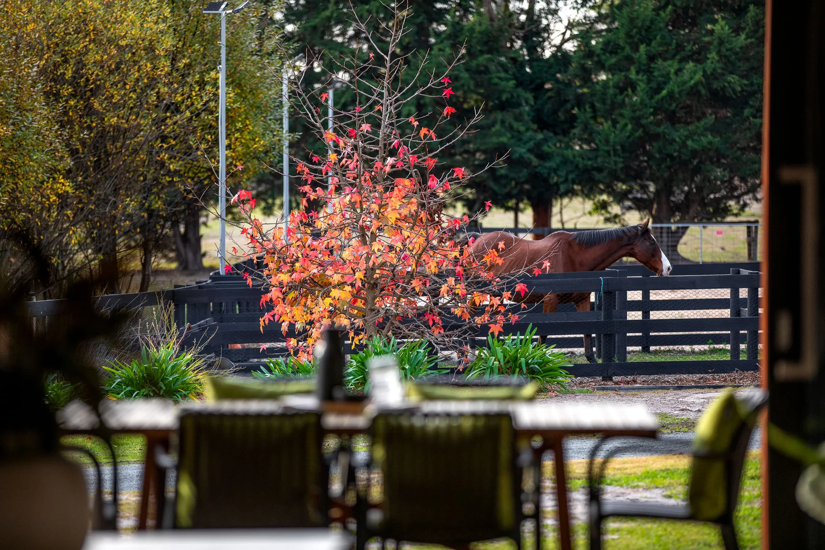 Additional image 2 of 615 Baxter-Tooradin Road, Pearcedale VIC 3912