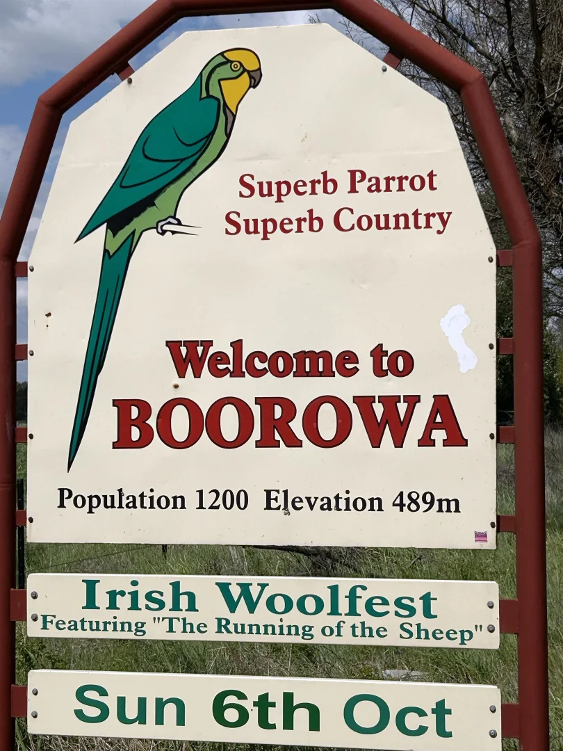 Additional image 3 of 77 Long Street, Boorowa NSW 2586