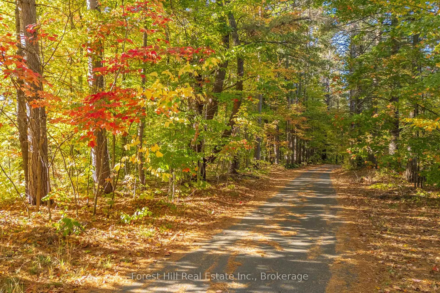 Additional image 18 of 3864 Highway 118