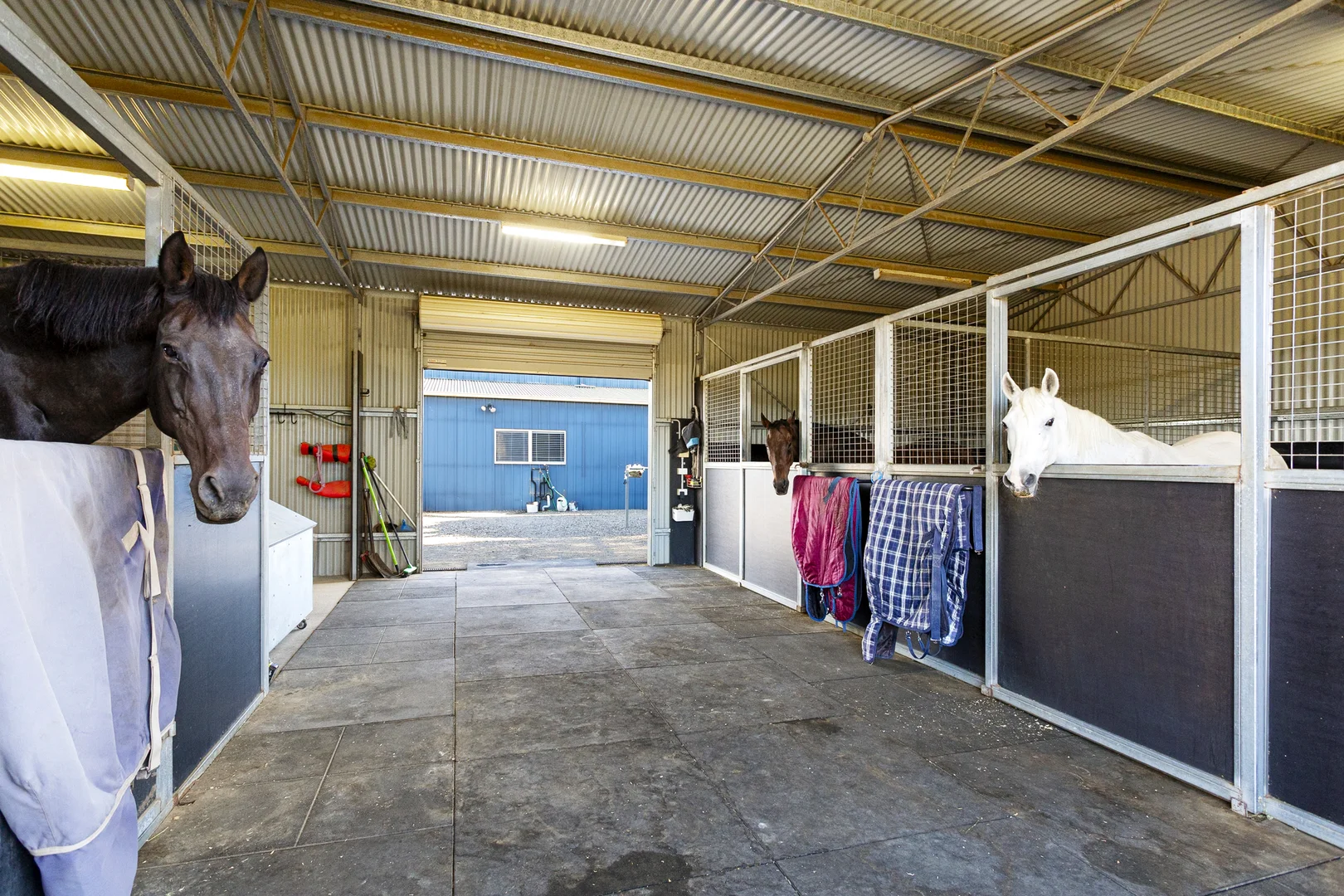 Additional image 25 of 12 Woods Close, Murrumbateman NSW 2582