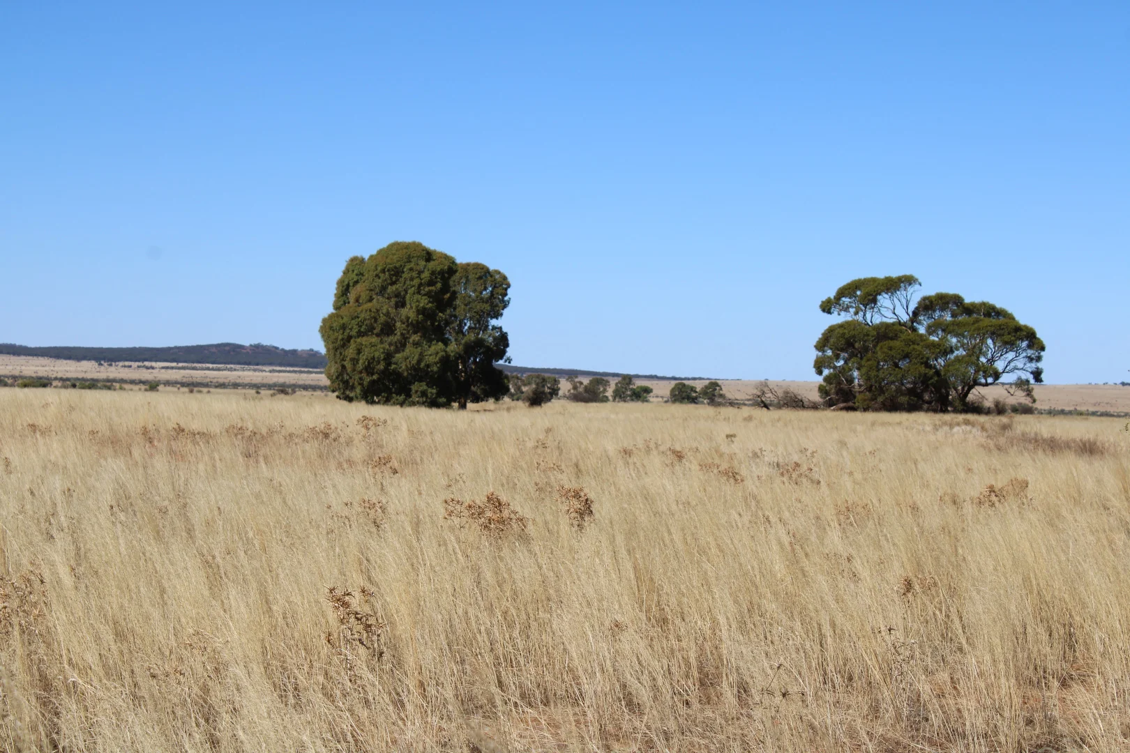 Additional image 8 of 1860 Cleary Road, Terowie SA 5421