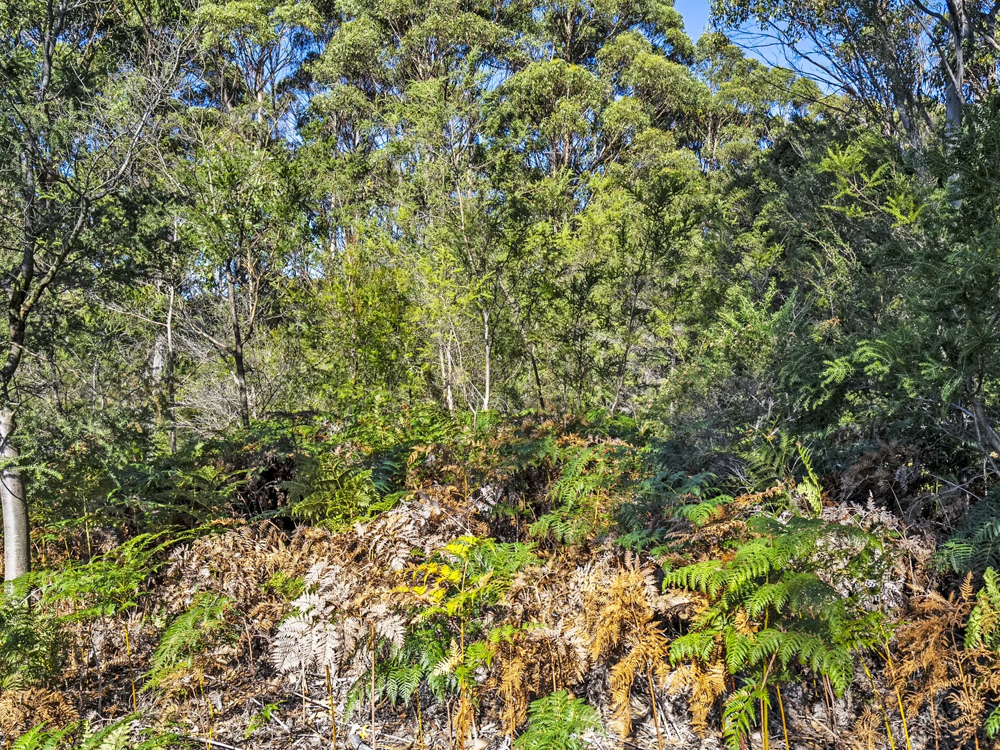 Additional image 38 of 312 Lookout Road, Port Arthur TAS 7182