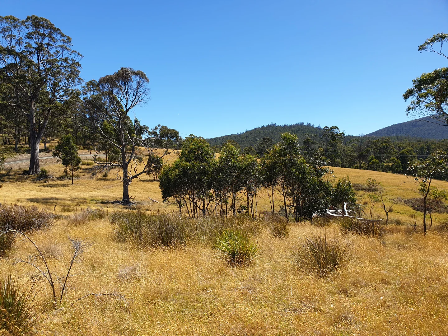 Additional image 10 of 2 - 15, Glenbrae Ris Lowes Road, Garden Island Creek TAS 7112