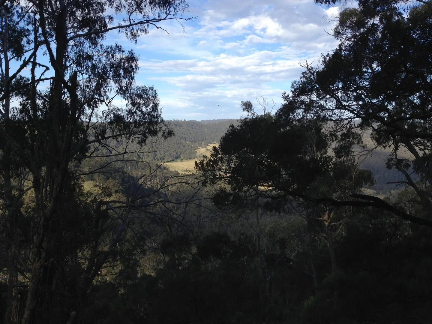 Additional image 8 of Lot 26 Big Jack Mountain Road, Cathcart NSW 2632