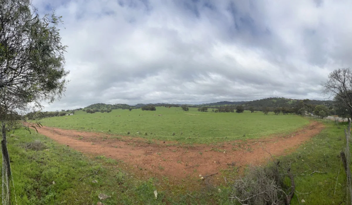 Additional image 16 of 76 Goomalling-Toodyay Road, Dumbarton WA 6566