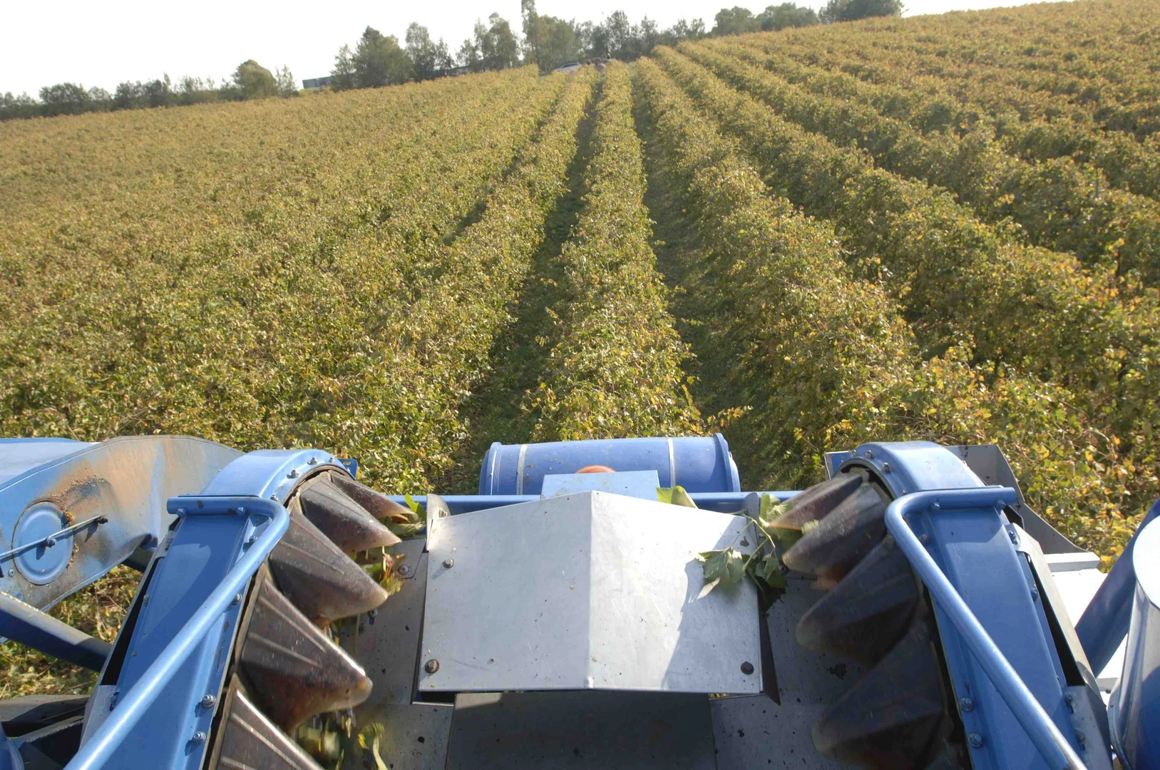 Additional image 13 of Kingsvale NSW 2587