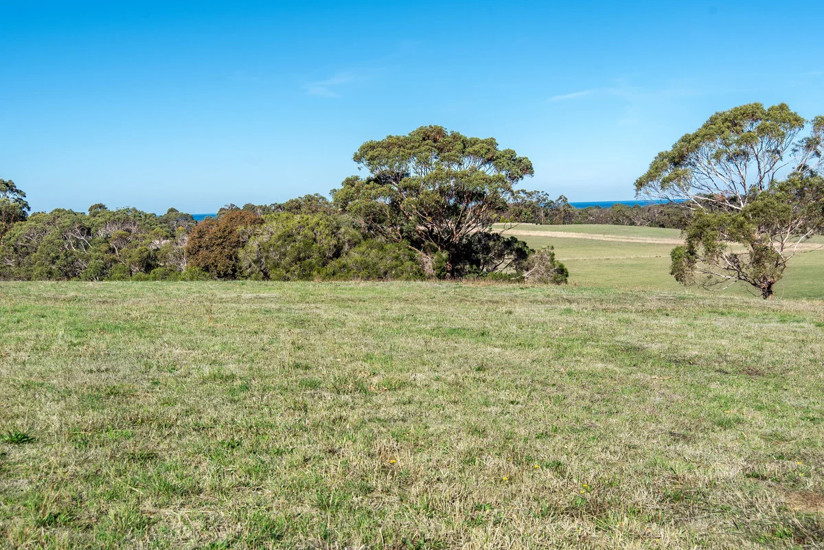 Additional image 4 of 41 Bonnie View, Bolwarra VIC 3305