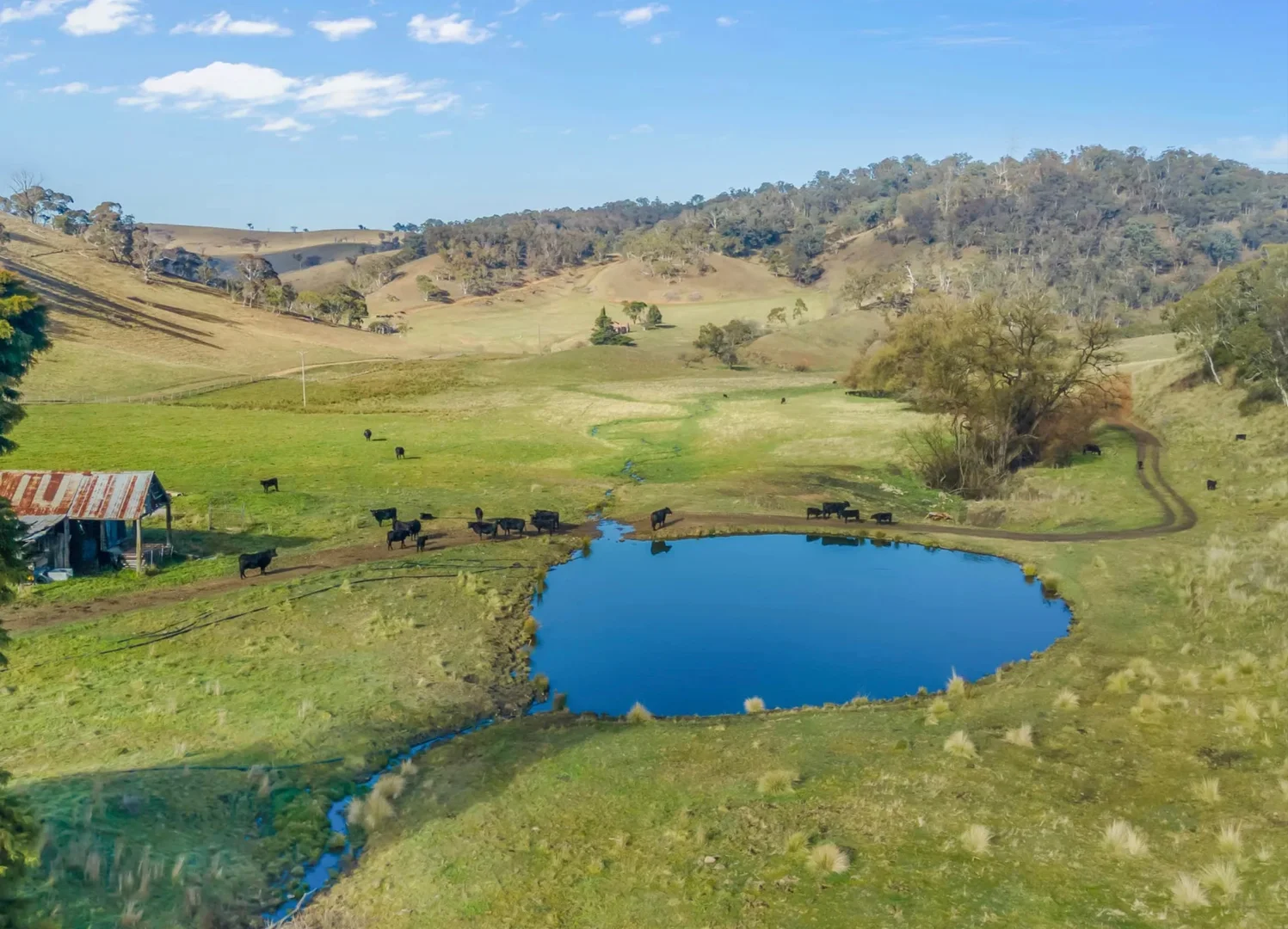 Additional image 17 of 226 Quarry Road, Ben Bullen NSW 2790