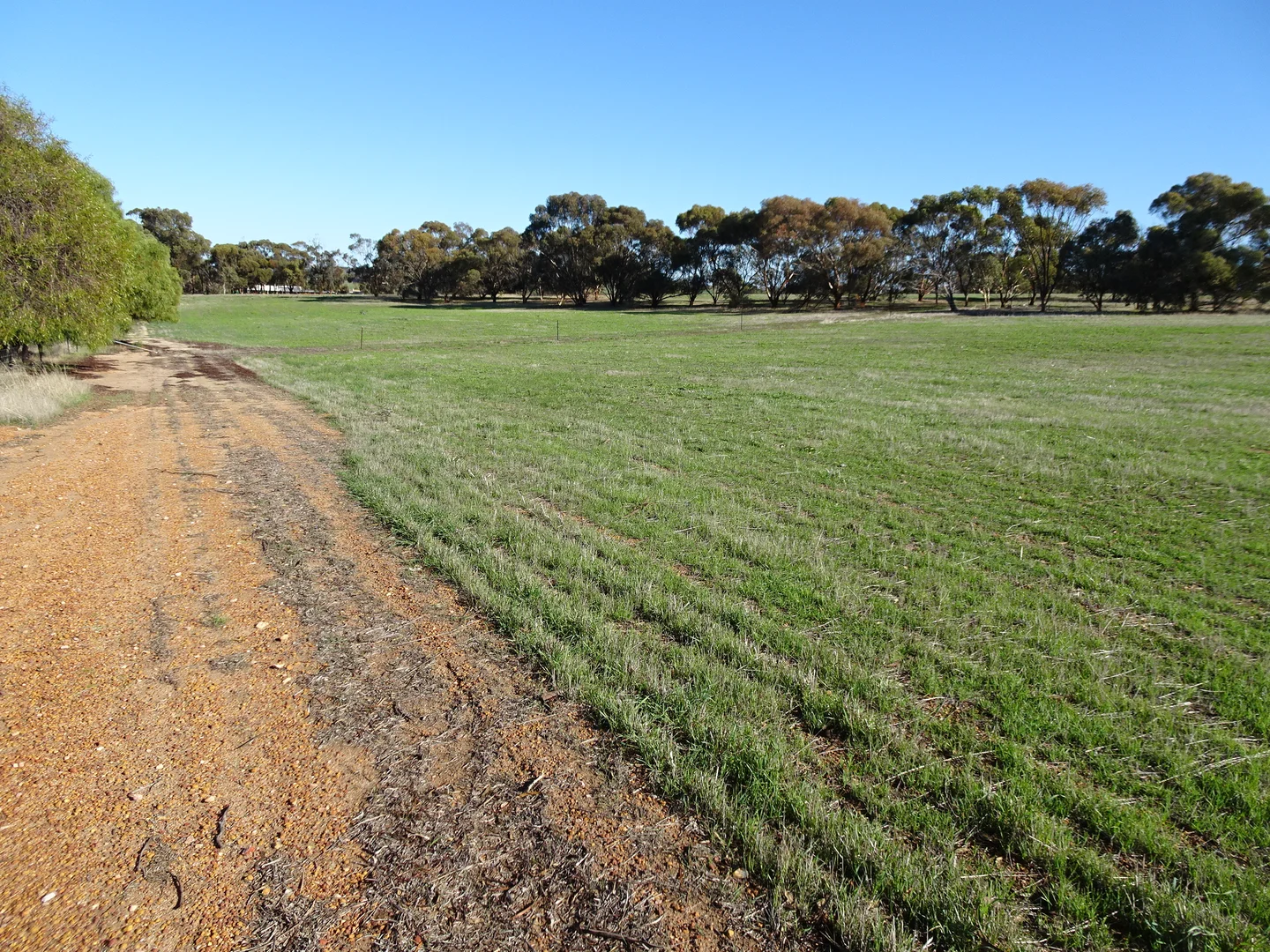 Additional image 30 of Shaddick Road, East Pingelly WA 6308