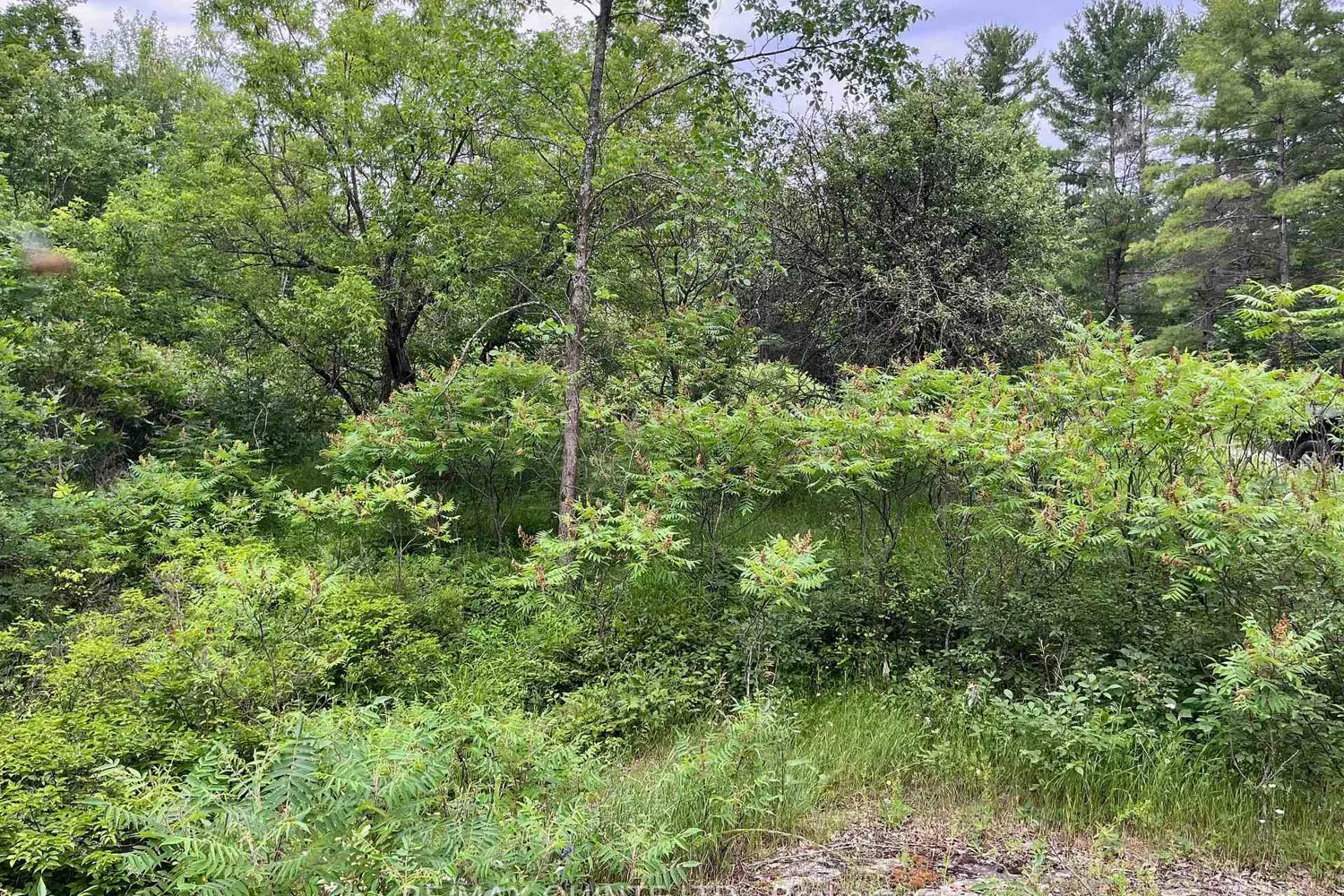 Additional image 2 of 0 (Pin - 40264-0091) Potter Settlement Road