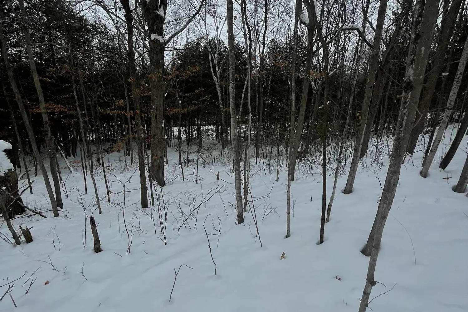 Additional image 3 of Ptlt 37 Trent View Drive