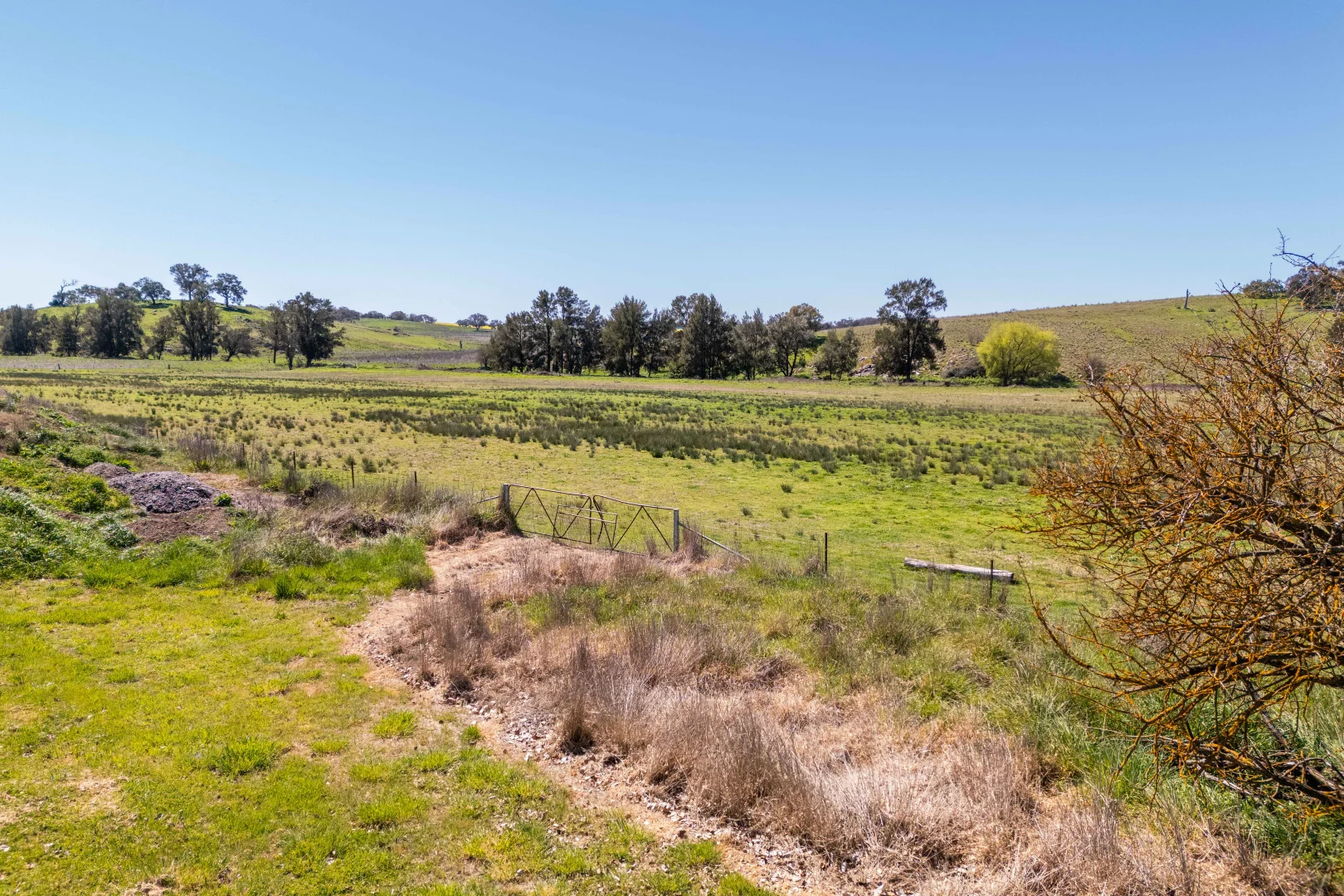 Additional image 17 of Lot 1-5 Market Street, Molong NSW 2866