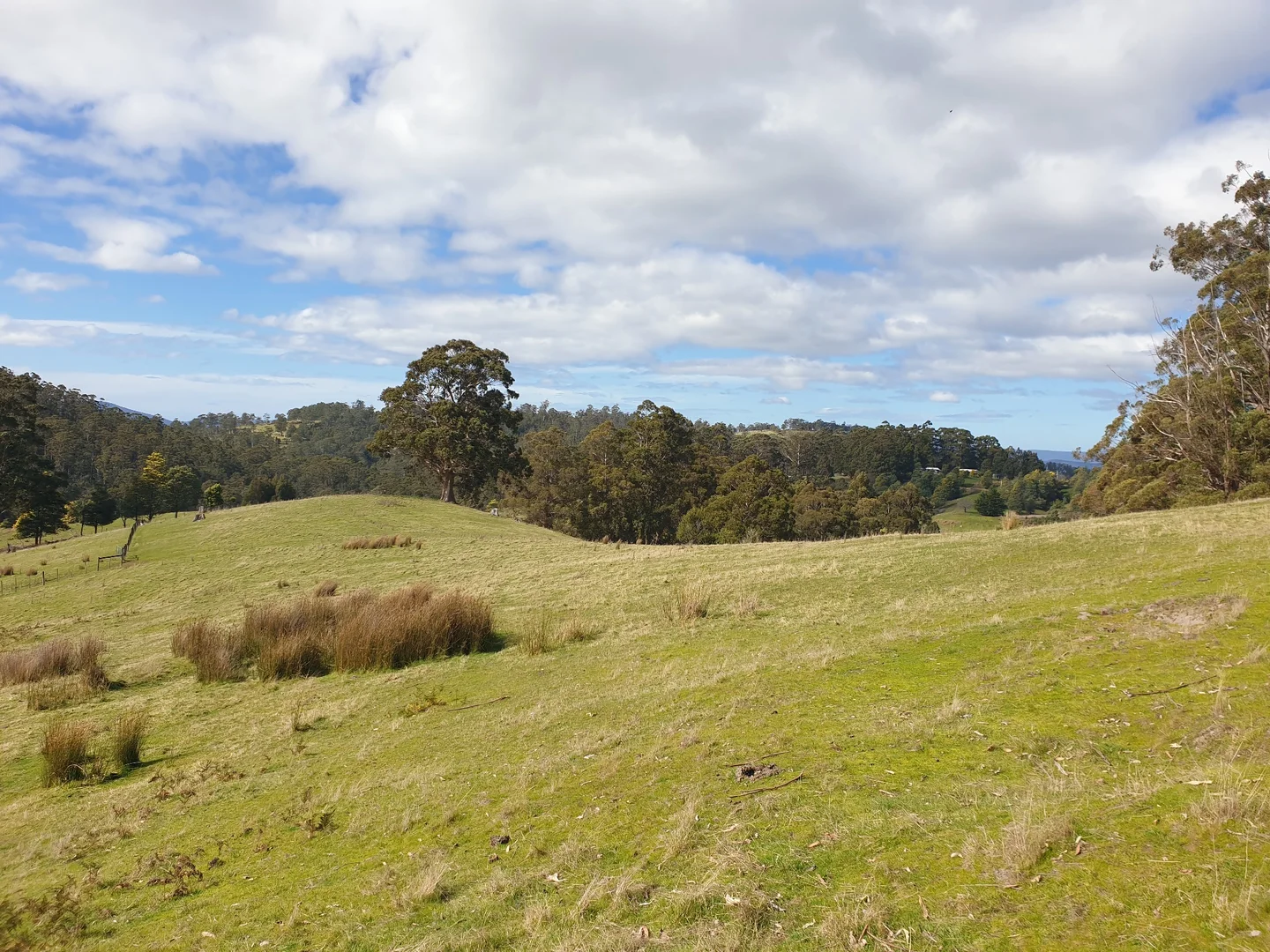 Additional image 16 of Lot 2 Huon Highway, Dover TAS 7117