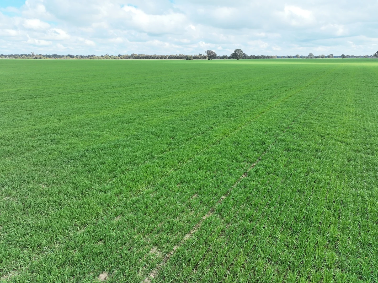 Additional image 6 of 0 Labuan Road, Numurkah VIC 3636