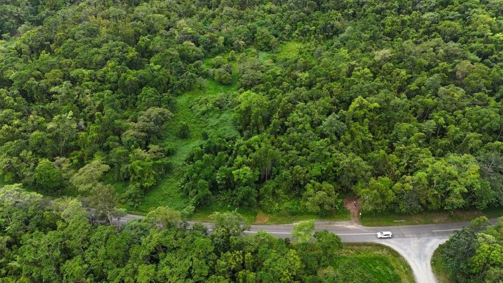 Additional image 41 of Lot 81 Cape Tribulation Road, DIWAN,, Daintree QLD 4873
