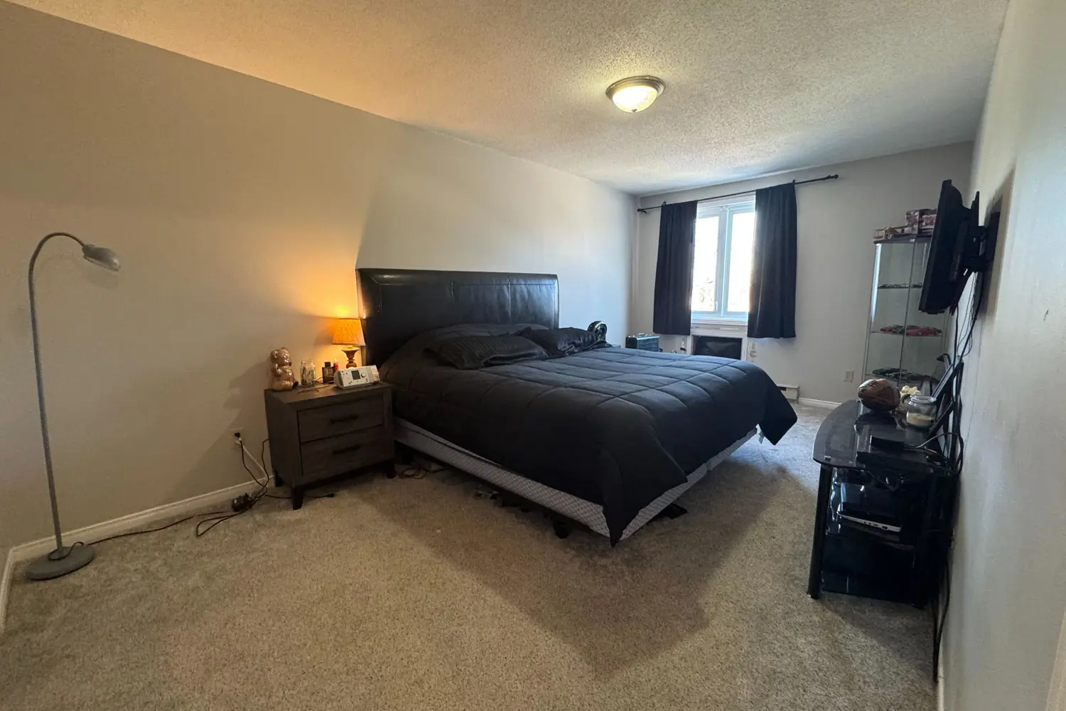 Additional image 19 of 315 Mullett Street 3