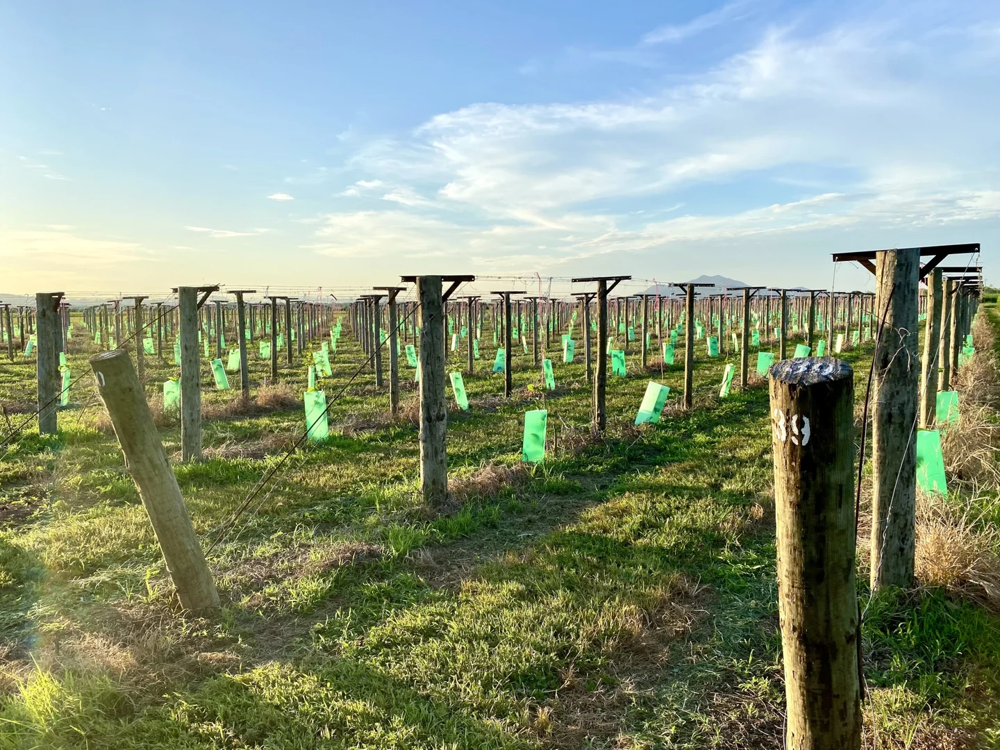 Additional image 23 of 5806 Ayr Dalbeg Road, Millaroo QLD 4807