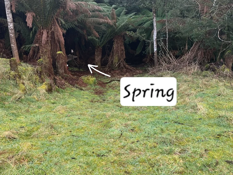 Additional image 10 of 12384 Murchison Highway, Rosebery TAS 7470