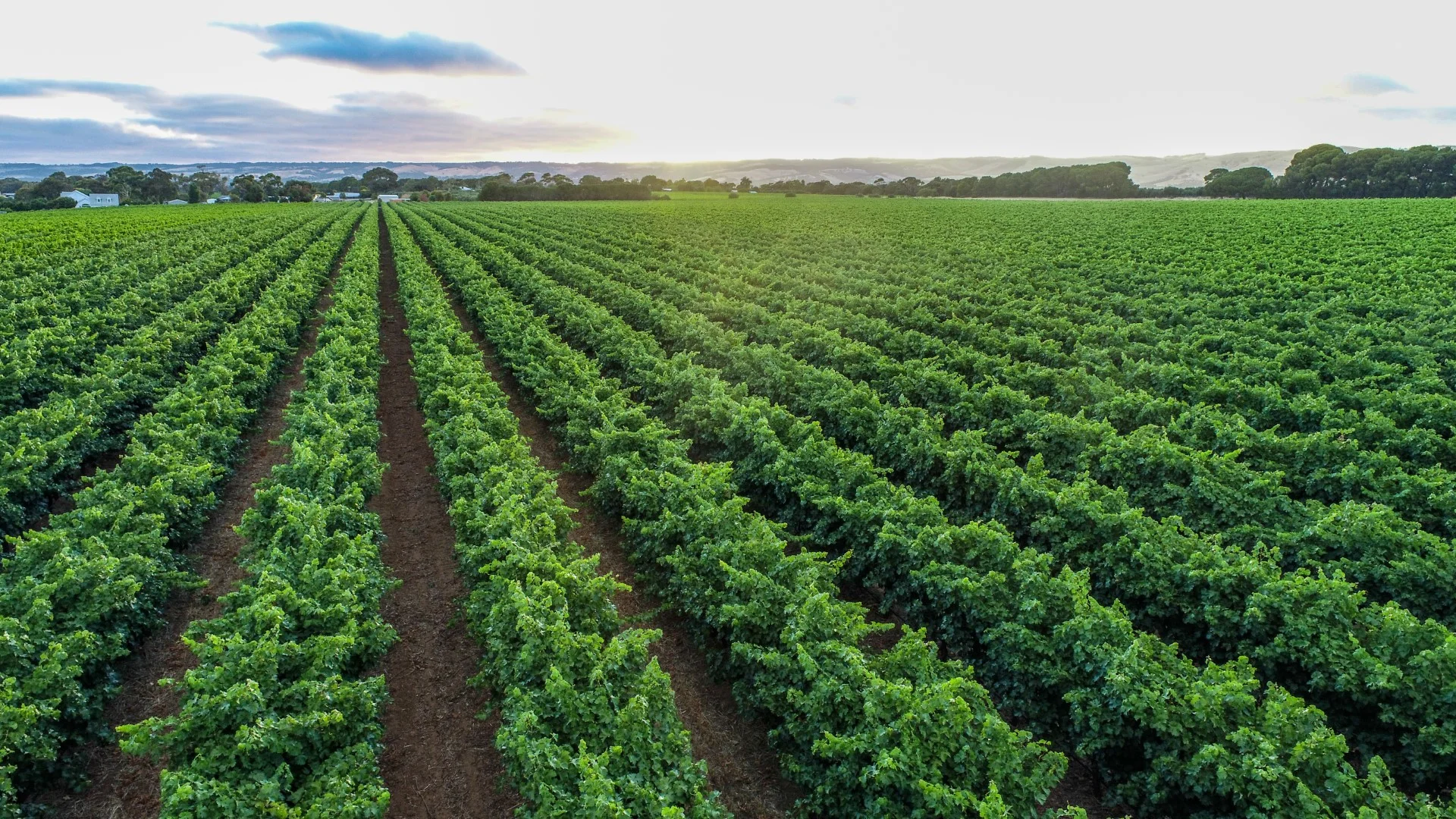 Additional image 8 of Lot 422 Little Road, Aldinga SA 5173