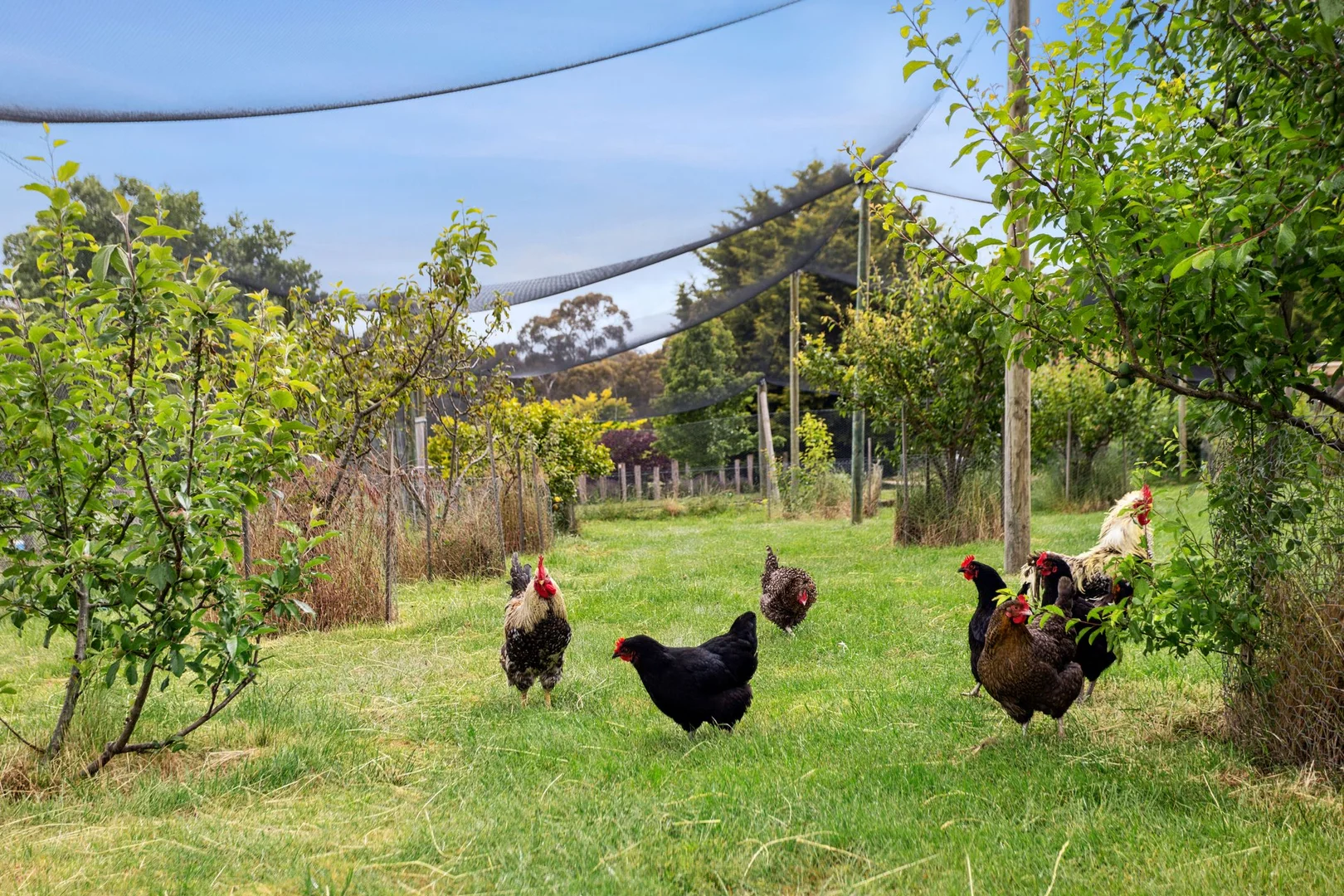 Additional image 16 of 94 Verekers Lane, Kyneton VIC 3444