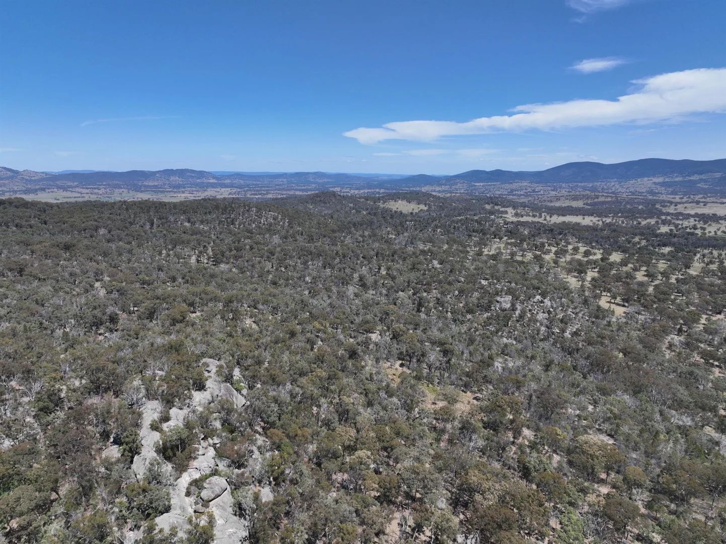 Additional image 4 of Lot 1 Brusharbers Road, Tenterfield NSW 2372