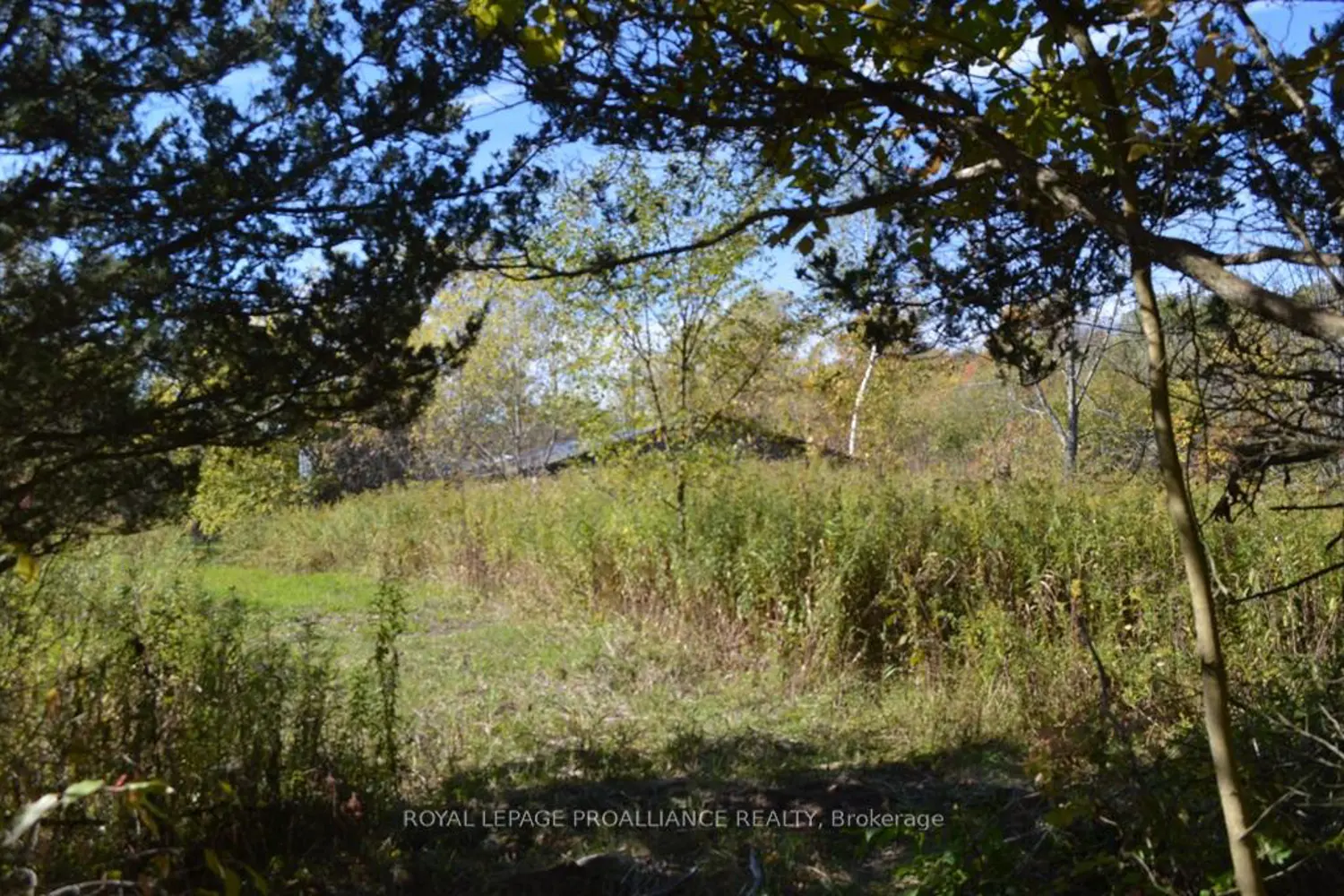 Additional image 4 of 00 Scriver Road