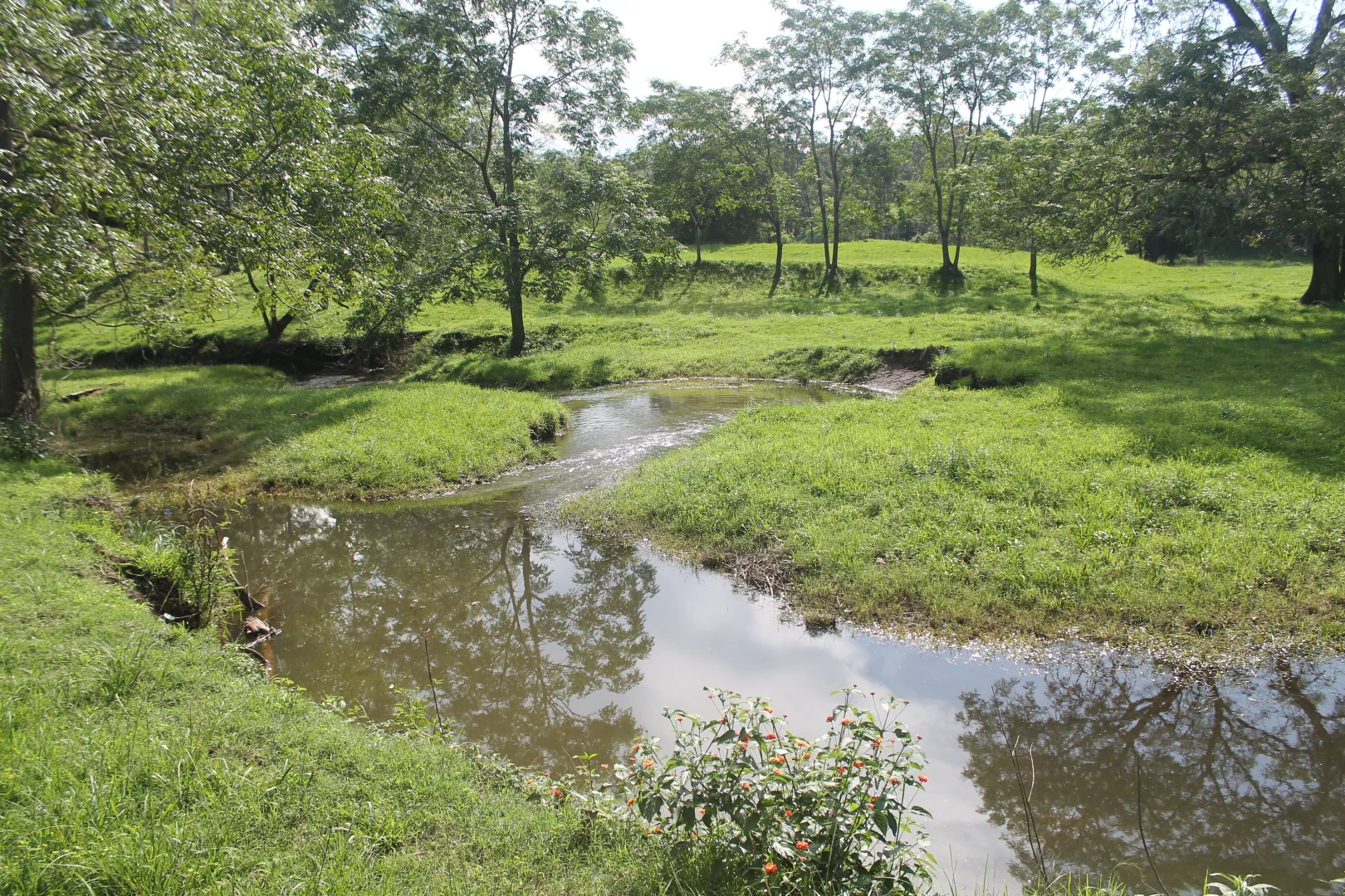 Additional image 20 of 71 SUNDOWNER ROAD, Bakers Creek NSW 2447