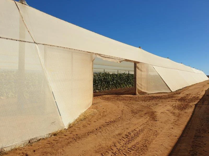 Additional image 13 of 138 North River Road, North Plantations WA 6701