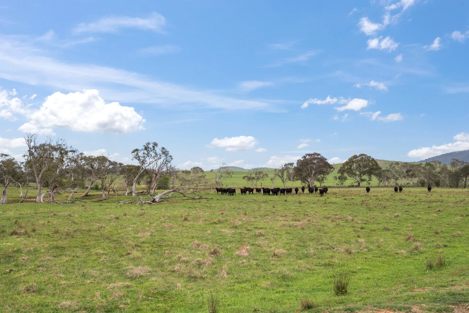 Additional image 25 of 536 Cooma Road, Braidwood NSW 2622