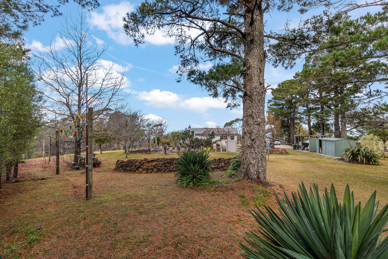 Additional image 17 of 174 Tableland Rd, Wentworth Falls NSW 2782