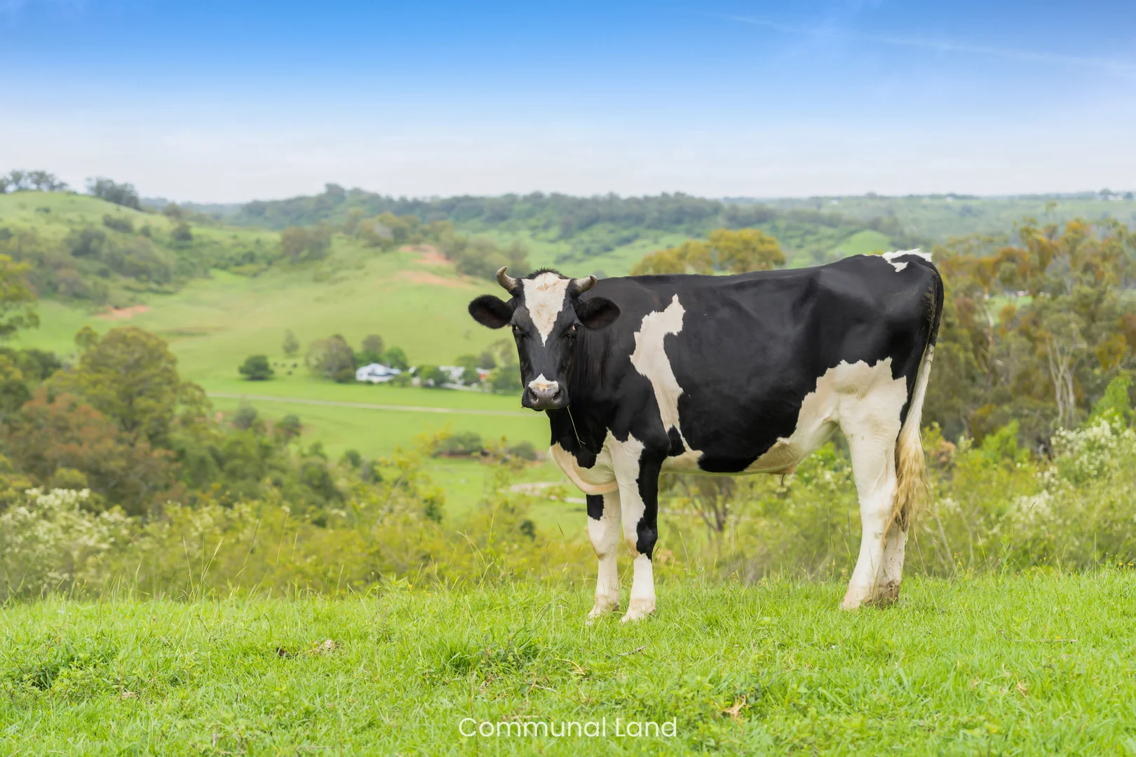 Additional image 35 of 10 Alexander Way, Mount Hunter NSW 2570