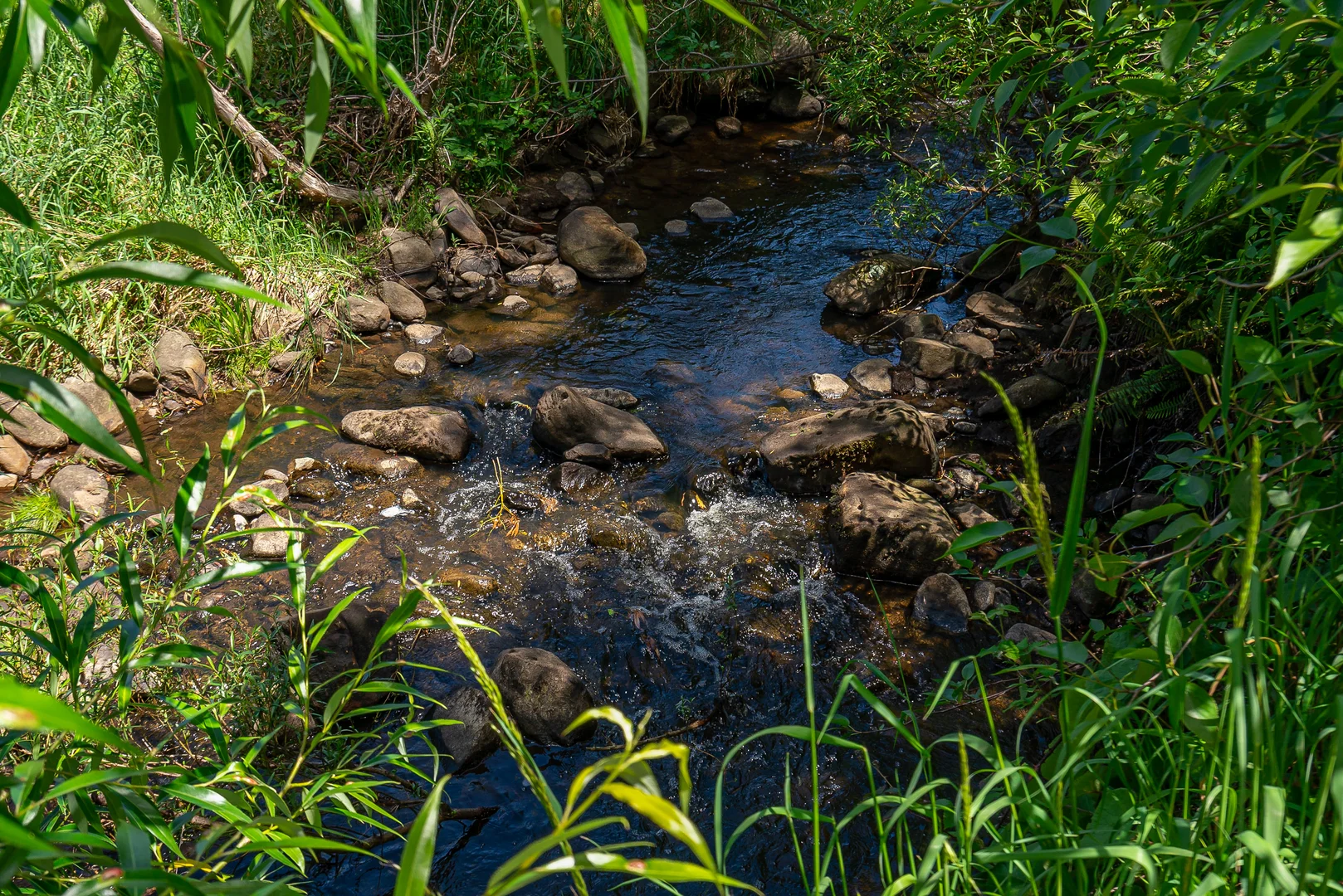 Additional image 25 of 106 Castle Forbes Road, Castle Forbes Bay TAS 7116