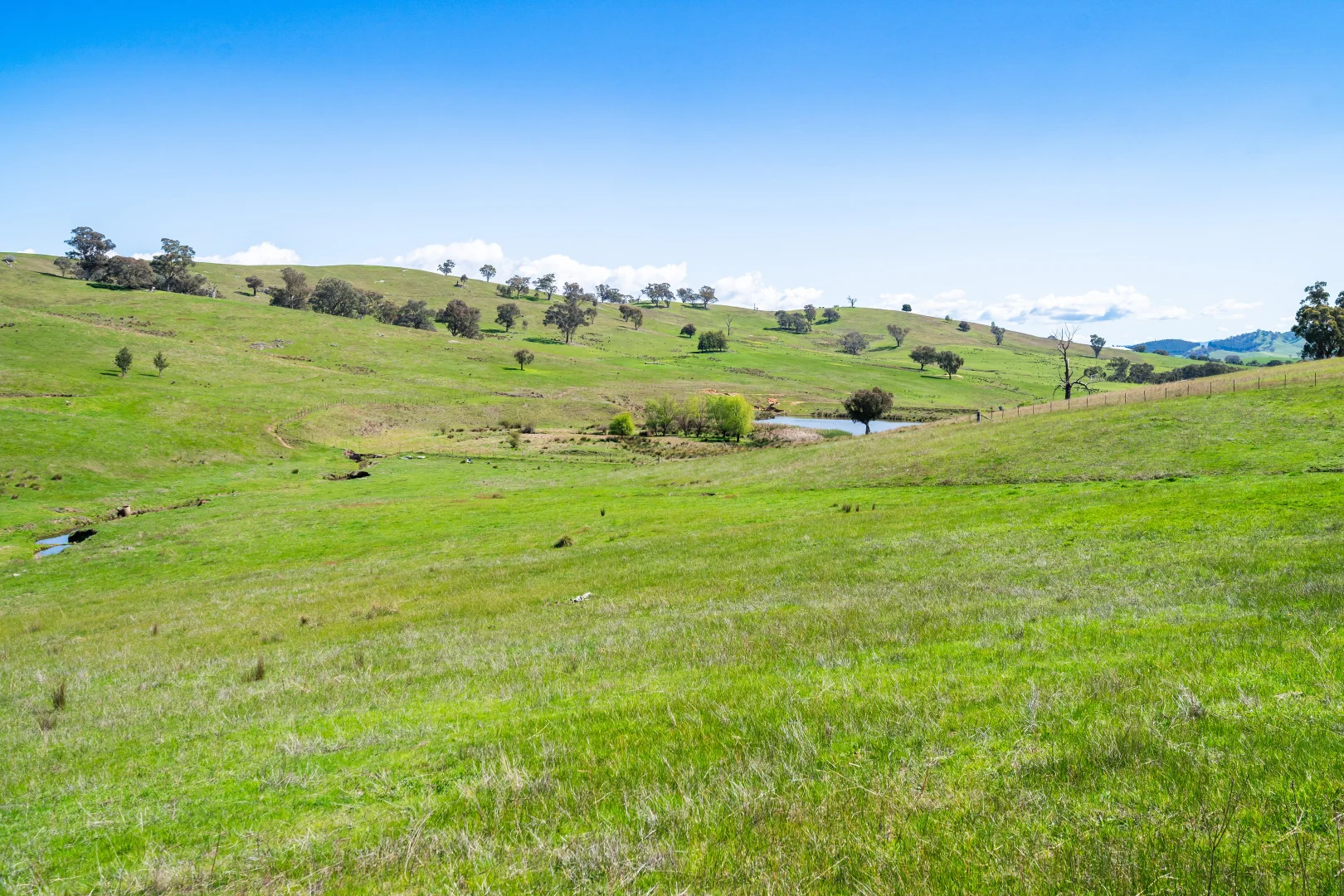 Additional image 4 of 'Part Tarragatta' Vincents Road, Talgarno VIC 3691