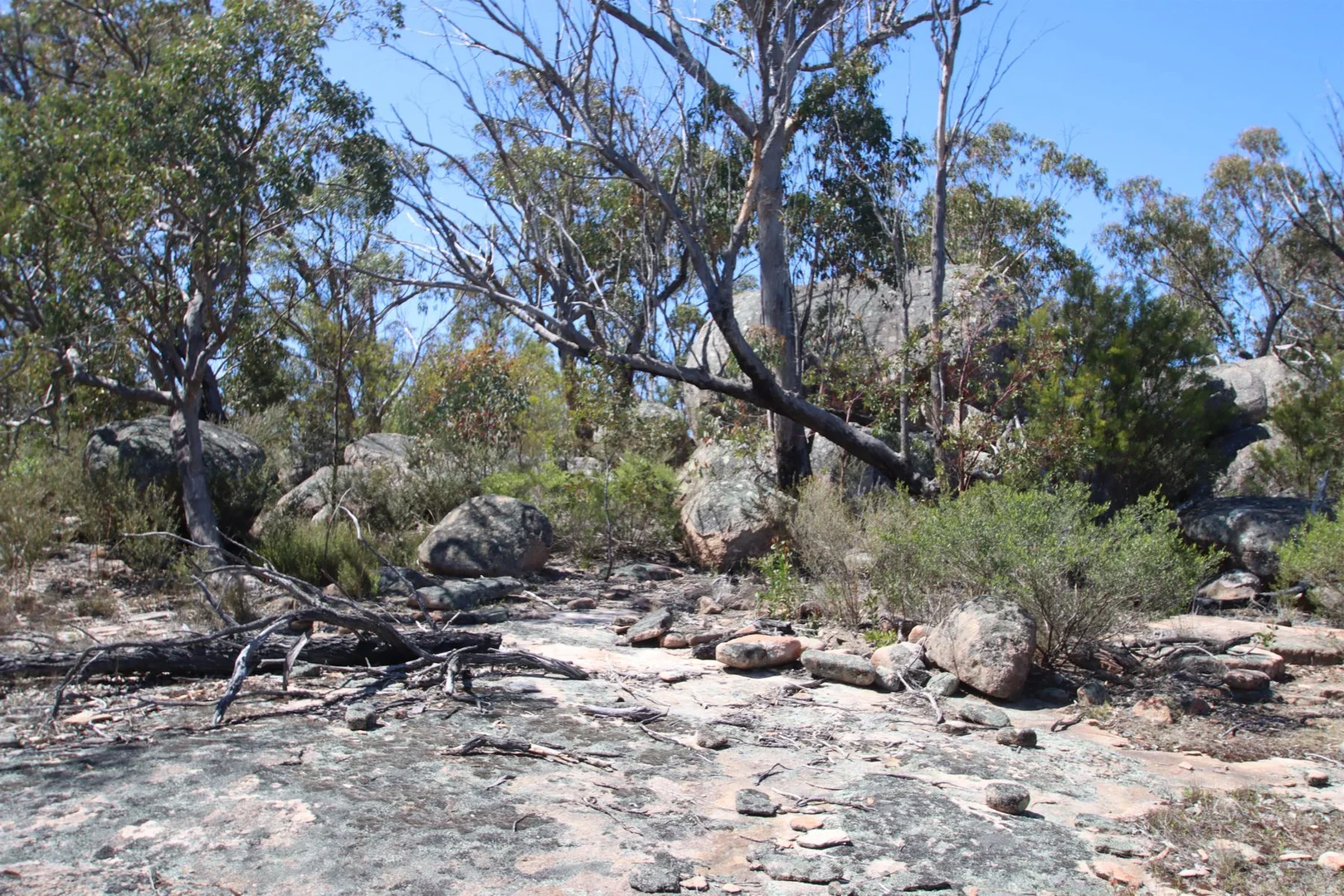 Additional image 16 of Lot 1 Brusharbers Road, Tenterfield NSW 2372