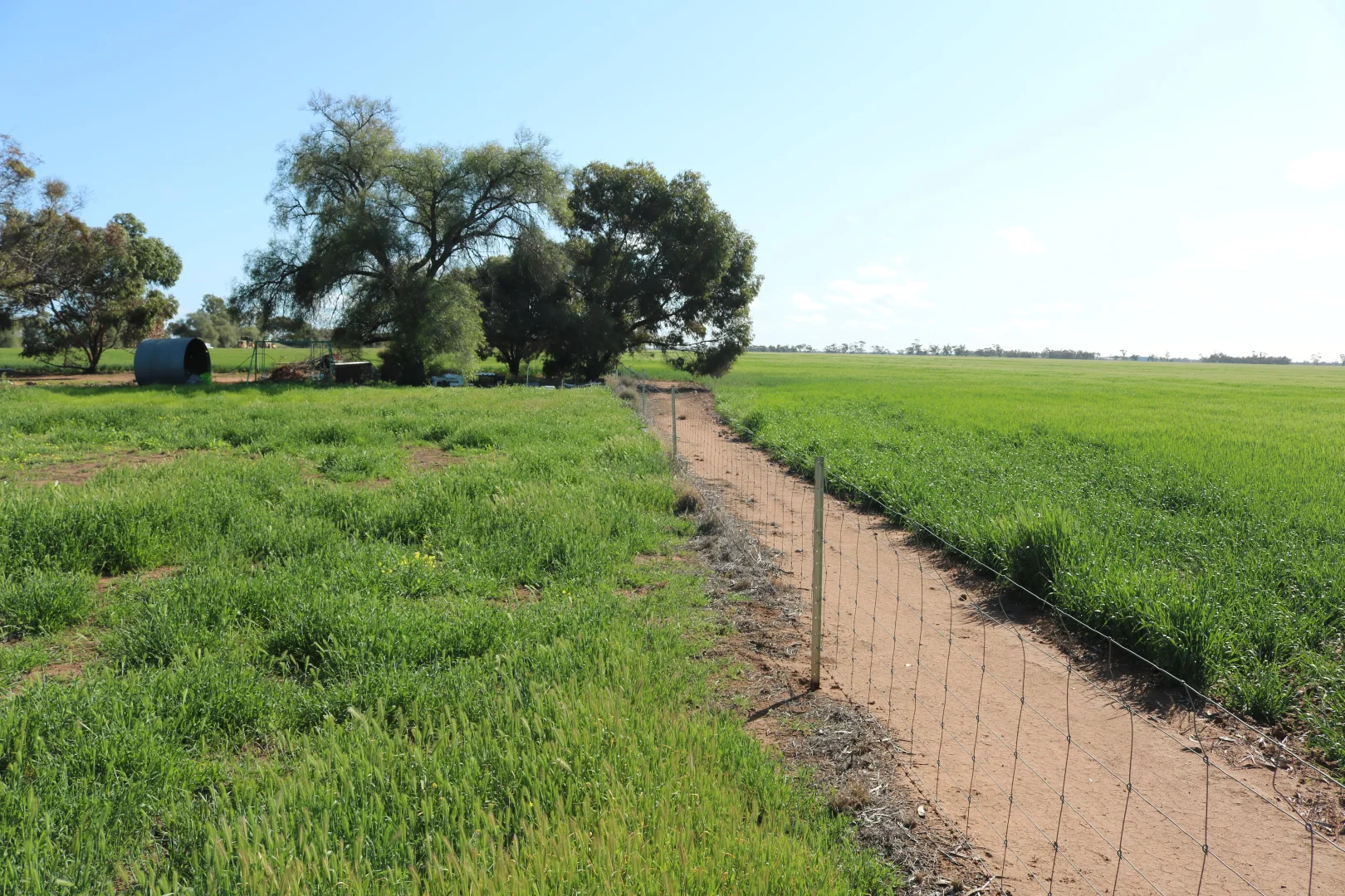 Additional image 8 of 24 North Road, Nullawil VIC 3529