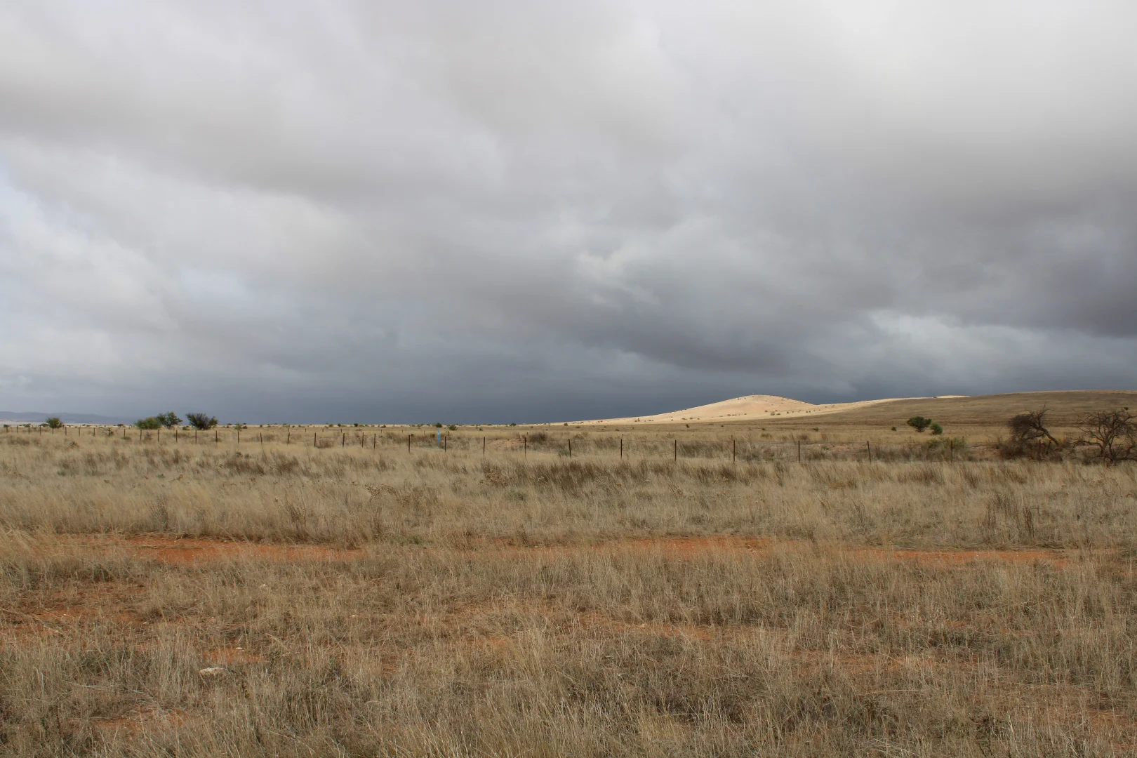 Additional image 54 of 1860 Cleary Road, Terowie SA 5421