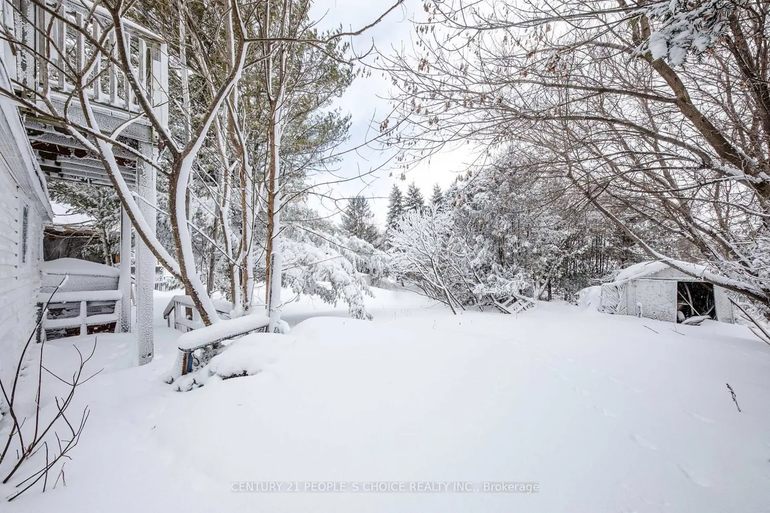 Additional image 4 of 250 Kingfisher Avenue