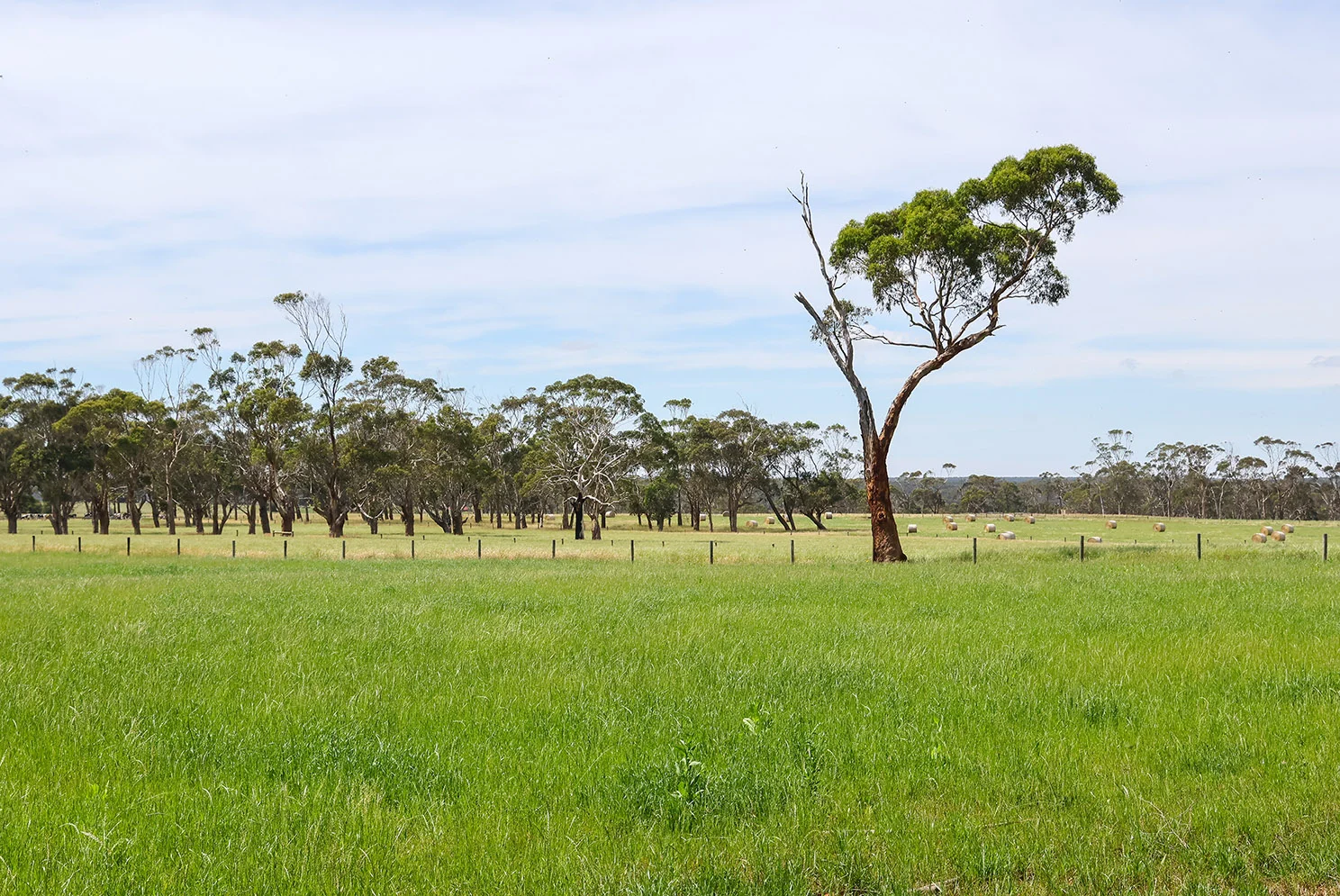 Additional image 6 of 211 Rollos Road, Panmure VIC 3265
