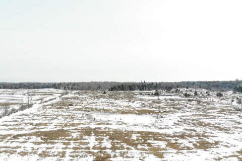 Additional image 7 of 1178 121 Highway, Kawartha Lakes, ON, K0M 1N0