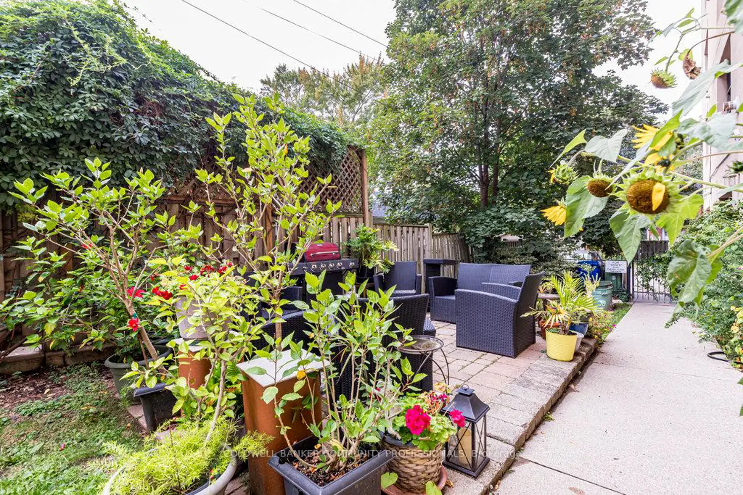 Additional image 20 of 36 Margaret Street 44