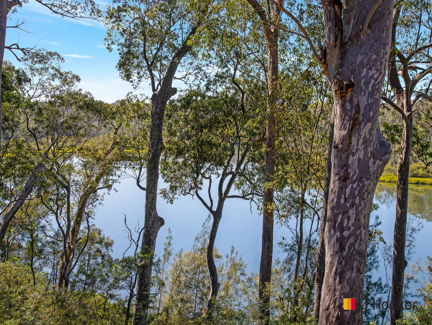 Additional image 45 of 773 Windywoppa Road, Benandarah NSW 2536