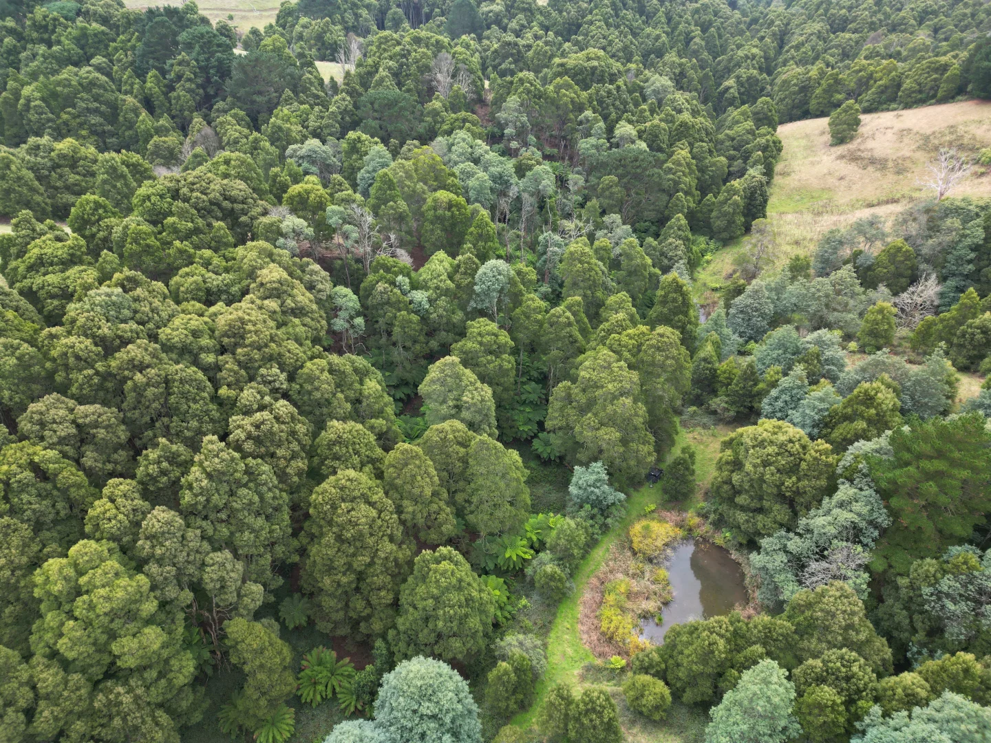 Additional image 4 of 478 Foster-Mirboo Road, Dollar VIC 3871