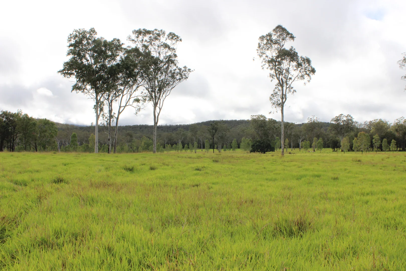 Additional image 15 of Innot Hot Springs QLD 4872