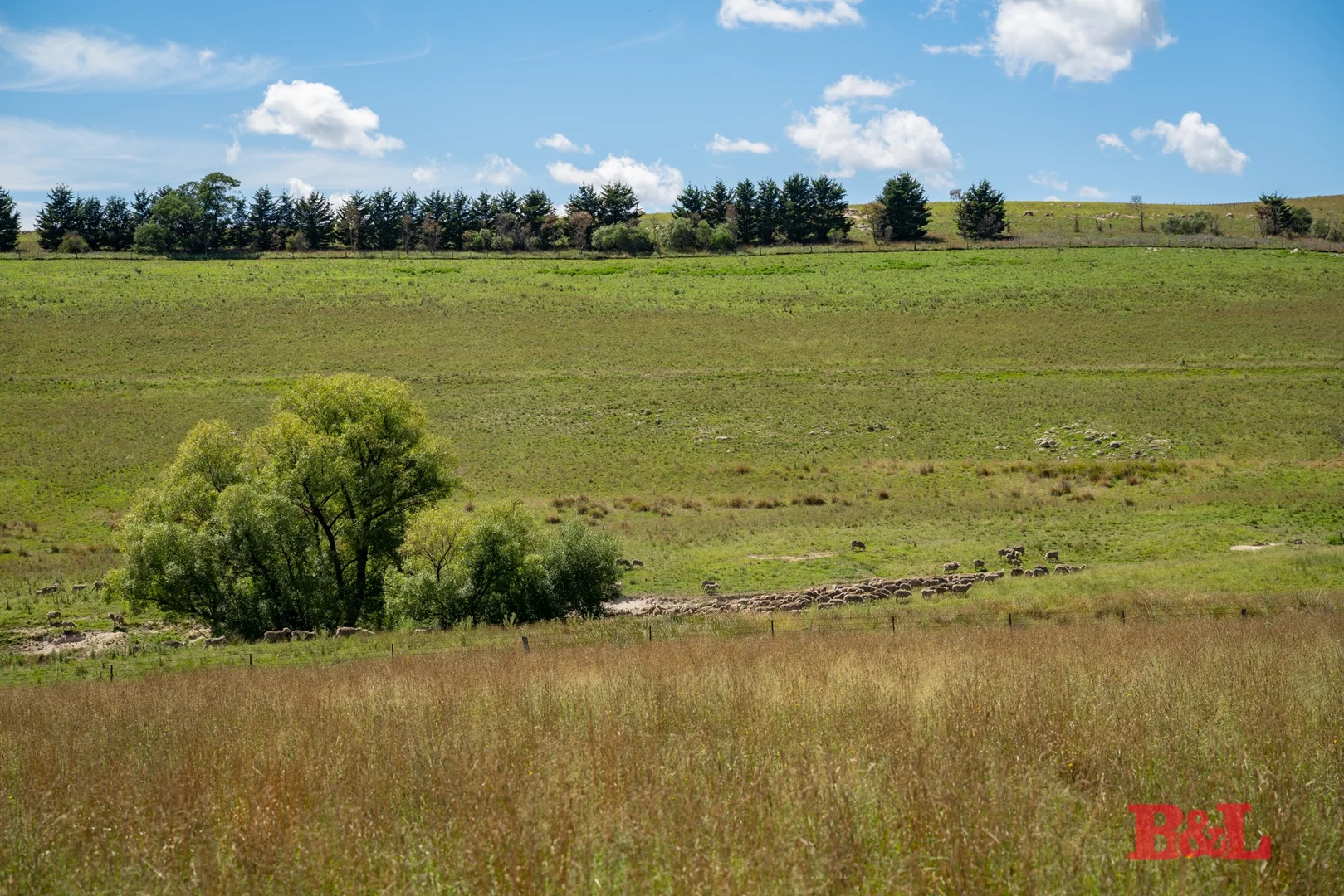 Additional image 35 of Lot 2 & 252 976 Sodwalls Road, Tarana NSW 2787