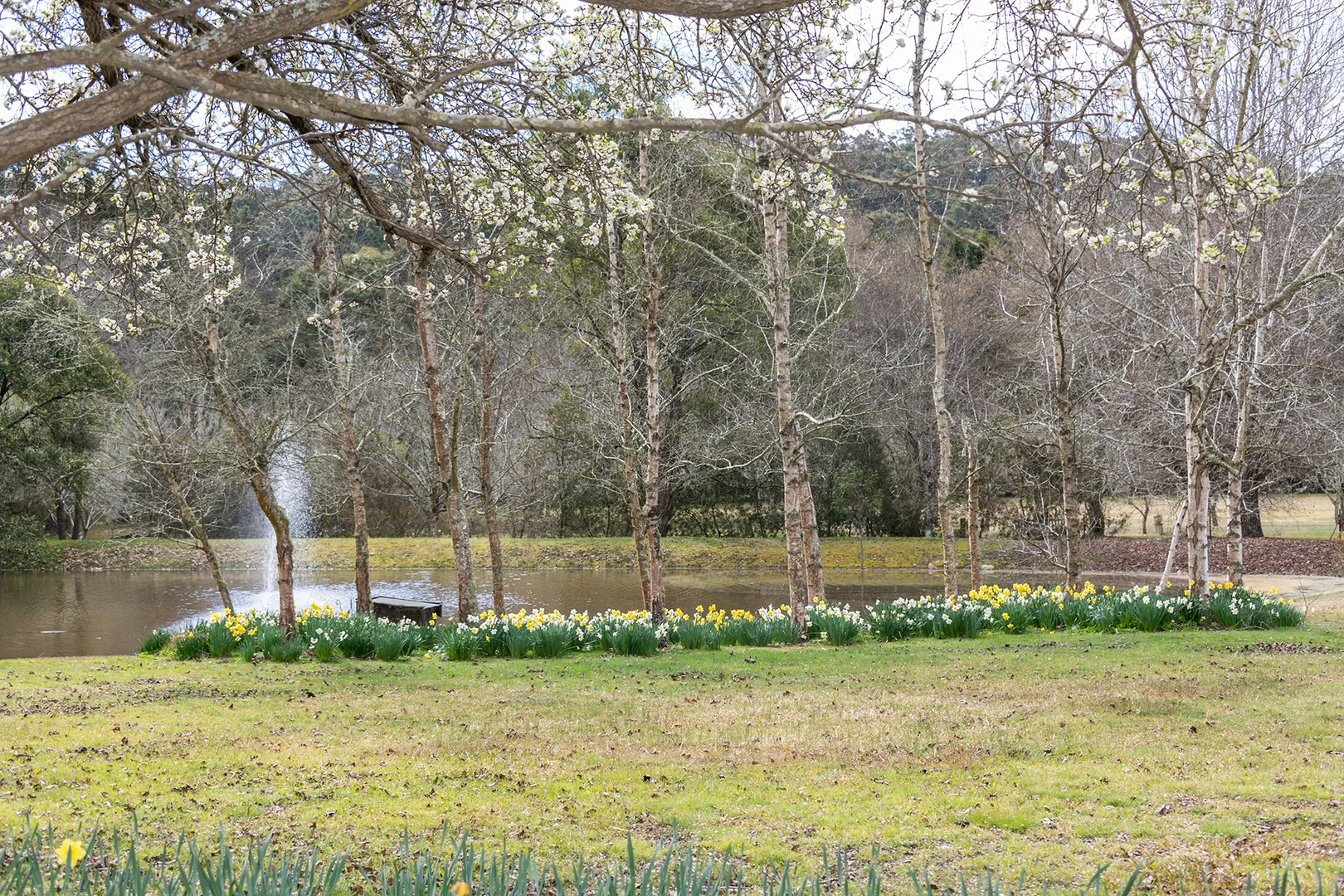 Additional image 17 of 28 Durham Road, Bundanoon NSW 2578